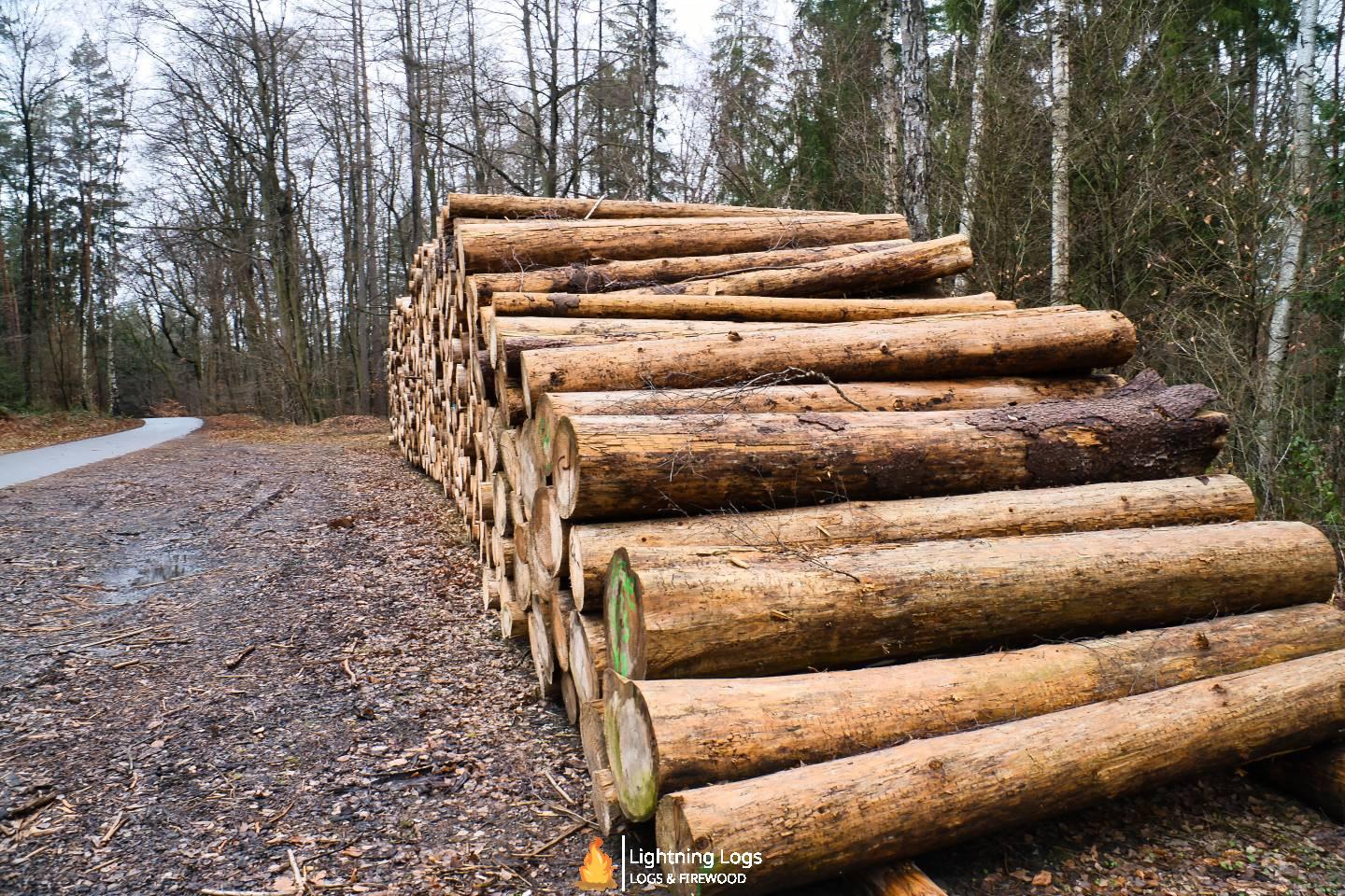 shutterstock 2448187659