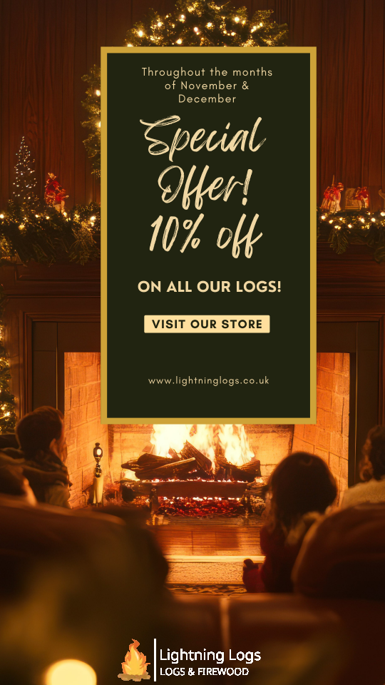 Gold Dark Green Photographic Elegant Christmas Special Offer Instagram Story